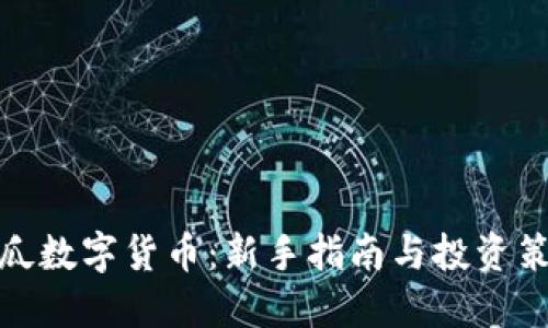 傻瓜数字货币：新手指南与投资策略