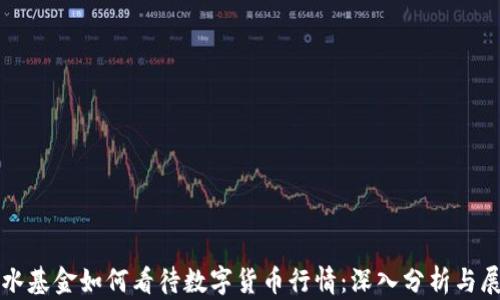 
桥水基金如何看待数字货币行情：深入分析与展望