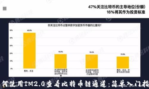 
如何使用IM2.0查看比特币链通道：简单入门指南