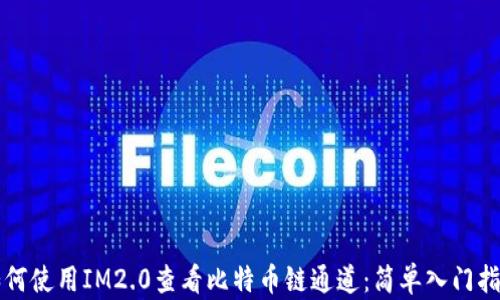 
如何使用IM2.0查看比特币链通道：简单入门指南