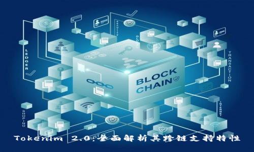 Tokenim 2.0：全面解析其跨链支持特性