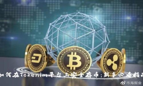 如何在Tokenim平台上安全存币：新手必看指南