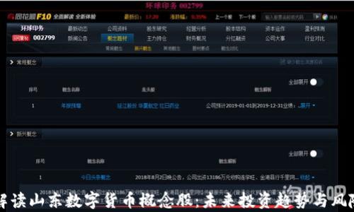 
全面解读山东数字货币概念股：未来投资趋势与风险分析