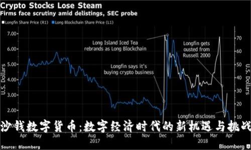 沙钱数字货币：数字经济时代的新机遇与挑战