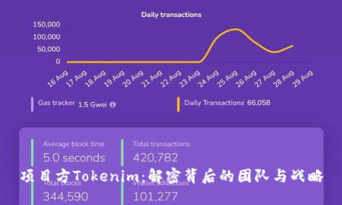 项目方Tokenim：解密背后的团队与战略