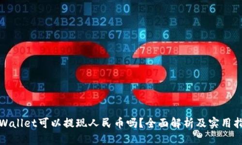 tpWallet可以提现人民币吗？全面解析及实用指南