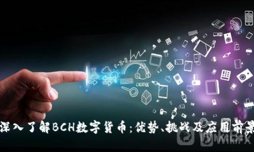 深入了解BCH数字货币：优势、挑战及应用前景