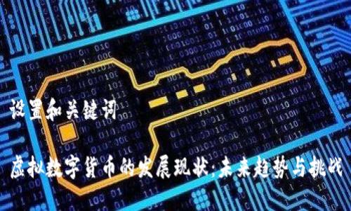 设置和关键词

虚拟数字货币的发展现状：未来趋势与挑战