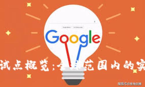 数字货币试点概览：全球范围内的实践与发展