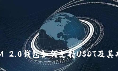 TokenIM 2.0钱包如何支持USDT及其功能解析