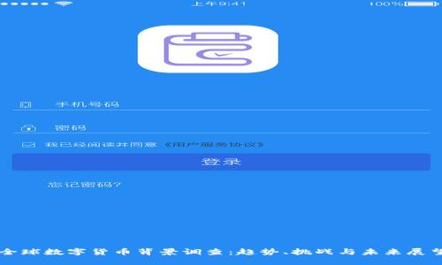 全球数字货币背景调查：趋势、挑战与未来展望