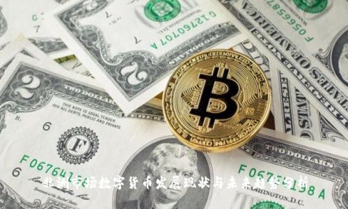 非洲市场数字货币发展现状与未来趋势分析