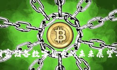 金砖国家储备数字货币的未来展望与挑战