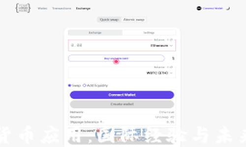 
数字货币应用：国际经验与未来展望