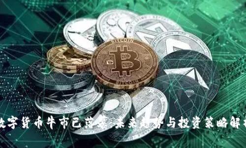 数字货币牛市已落幕：未来趋势与投资策略解析