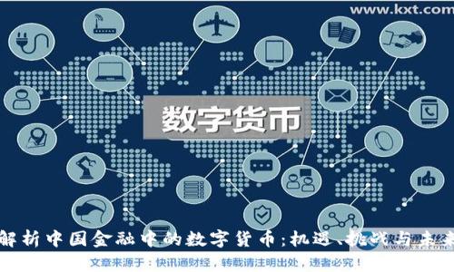 全面解析中国金融中的数字货币：机遇、挑战与未来发展