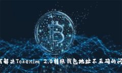 如何解决Tokenim 2.0转账钱包地址不正确的问题？
