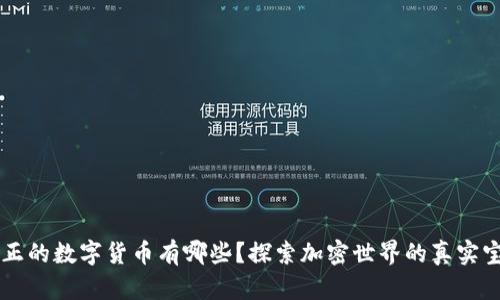 真正的数字货币有哪些？探索加密世界的真实宝藏