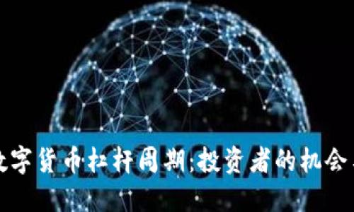 揭示数字货币杠杆周期：投资者的机会与挑战