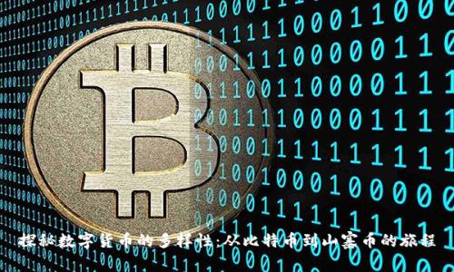 探秘数字货币的多样性：从比特币到山寨币的旅程