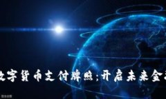 卡塔尔数字货币支付牌照