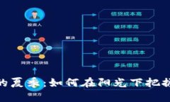 数字货币的夏季：如何在阳光下把握投资机会
