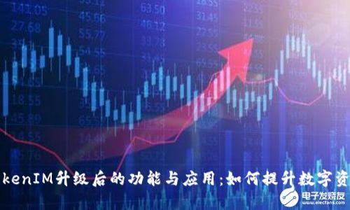 深入探讨TokenIM升级后的功能与应用：如何提升数字资产管理效率
