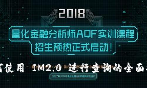 如何使用 IM2.0 进行查询的全面指南