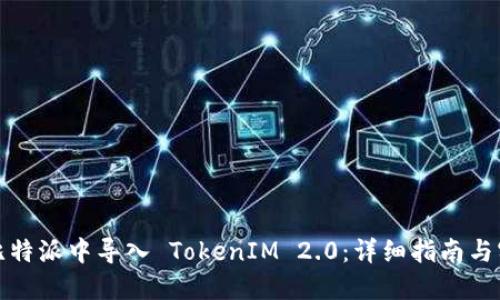 如何在比特派中导入 TokenIM 2.0：详细指南与实用技巧