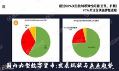   国内大型数字货币：发展