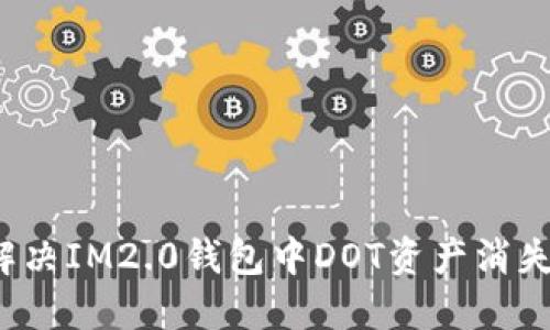 如何解决IM2.0钱包中DOT资产消失问题？