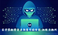 菲律宾数字货币销售市场