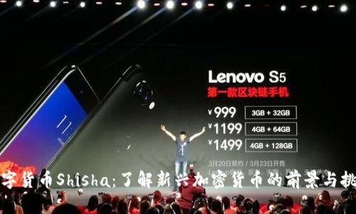 数字货币Shisha：了解新兴加密货币的前景与挑战