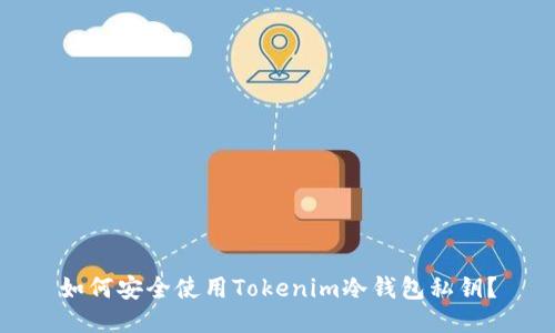 如何安全使用Tokenim冷钱包私钥？
