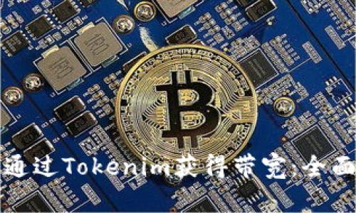 如何通过Tokenim获得带宽：全面指南