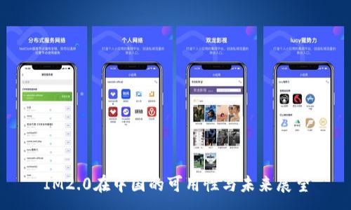 :

IM2.0在中国的可用性与未来展望