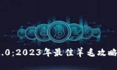 TokenIM 2.0：2023年最佳羊毛