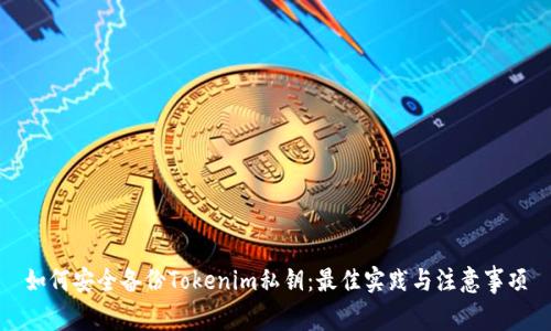 如何安全备份Tokenim私钥：最佳实践与注意事项