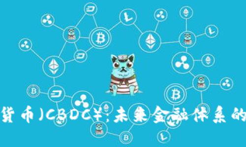 : 央行数字货币（CBDC）：未来金融体系的变革与挑战