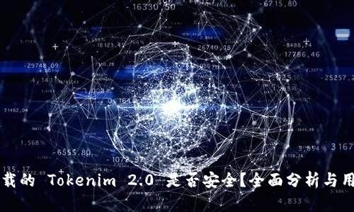 百度下载的 Tokenim 2.0 是否安全？全面分析与用户指南