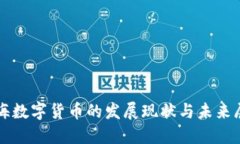 上海数字货币的发展现状与未来展望