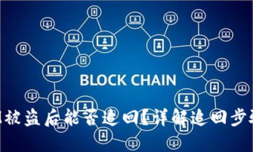 TokenIM被盗后能否追回？详解追回步骤与风险