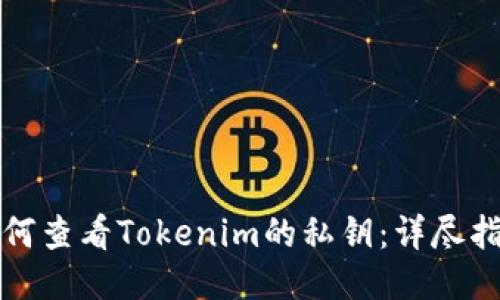 如何查看Tokenim的私钥：详尽指南