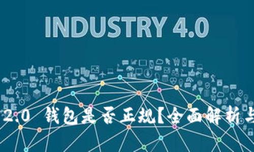 Tokenim 2.0 钱包是否正规？全面解析与使用指南