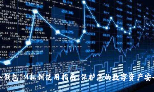 冷钱包IM私钥使用指南：保护您的数字资产安全
