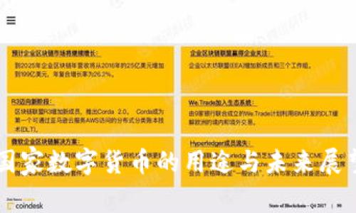 国家数字货币的用途与未来展望