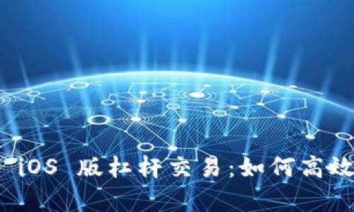 全面解析 Tokenim iOS 版杠杆交易：如何高效利用杠杆，稳健盈利