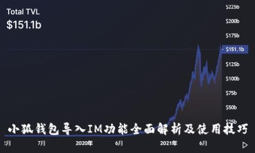 小狐钱包导入IM功能全面解析及使用技巧